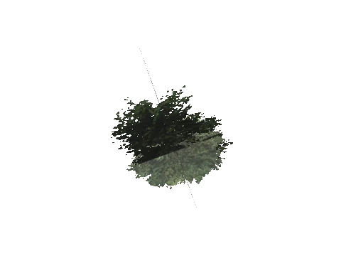 cs2_10_props_veg221_61_lod, a GTA V map model
