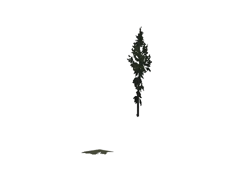 cs2_10_props_veg222_24_lod, a GTA V map model