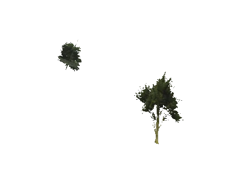 cs2_10_props_veg317_12_lod, a GTA V map model