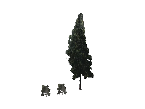 cs2_10_props_veg321_16_lod, a GTA V map model