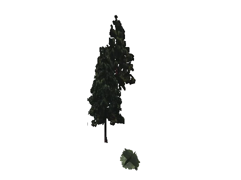 cs2_10_props_veg328_31_lod, a GTA V map model