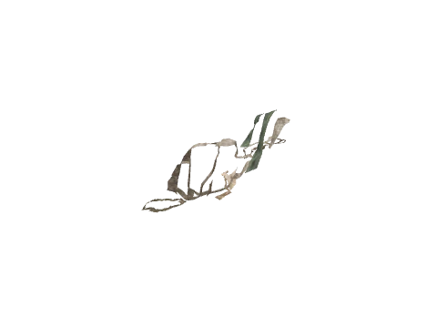 cs2_11_gavdecal_03, a GTA V map model