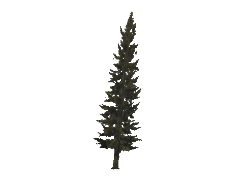 cs2_11_props_veg104_17_lod, a GTA V map model