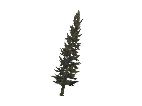 cs2_11_props_veg104_23_lod, a GTA V map model