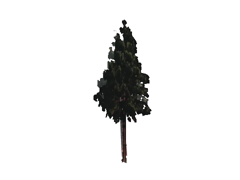 cs2_11_props_veg109_28_lod, a GTA V map model