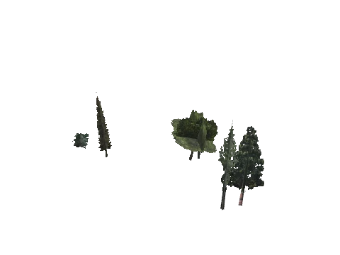 cs2_11_props_veg109_30_lod, a GTA V map model