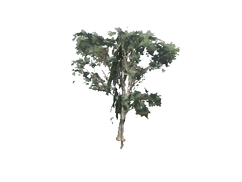cs2_11_props_veg109_43_lod, a GTA V map model