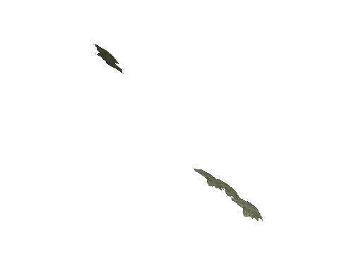 cs2_11_props_veg114_07_lod, a GTA V map model