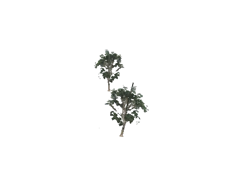 cs2_11_props_veg201_09_lod, a GTA V map model