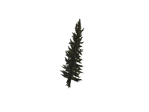 cs2_11_props_veg201_18_lod, a GTA V map model