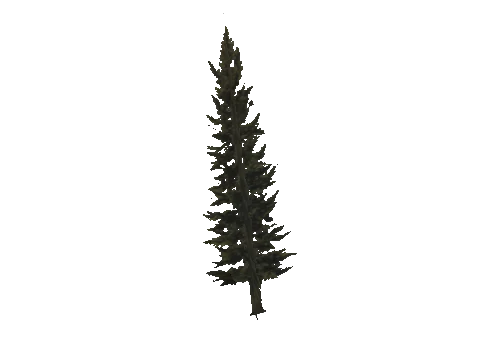 cs2_11_props_veg202_23_lod, a GTA V map model