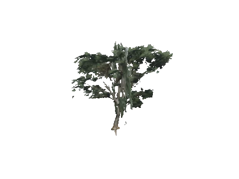 cs2_11_props_veg203_07_lod, a GTA V map model