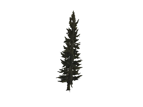 cs2_11_props_veg203_09_lod, a GTA V map model