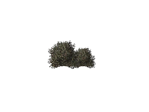 cs2_11_props_veg204_04_lod, a GTA V map model