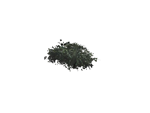 cs2_11_props_veg204_16_lod, a GTA V map model