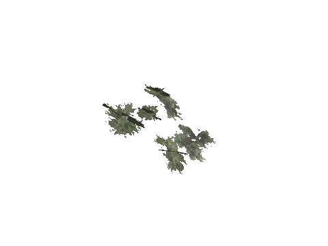 cs2_11_props_veg207_13_lod, a GTA V map model