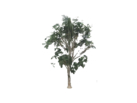 cs2_11_props_veg207_16_lod, a GTA V map model