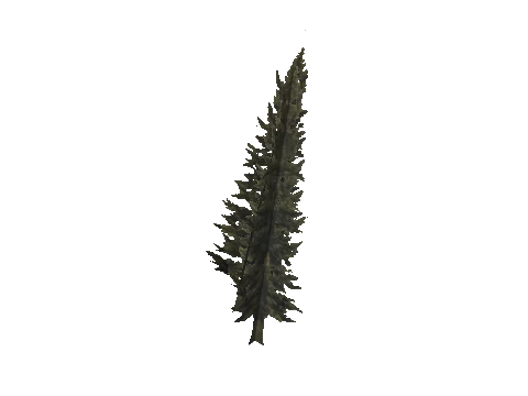 cs2_11_props_veg207_25_lod, a GTA V map model