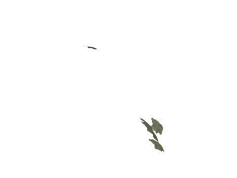 cs2_11_props_veg211_12_lod, a GTA V map model