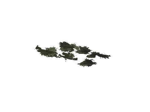 cs2_11_props_veg213_07_lod, a GTA V map model