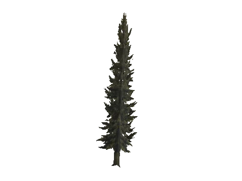 cs2_11_props_veg213_10_lod, a GTA V map model
