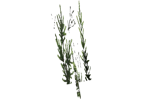 cs2_11_props_veg216_08_lod, a GTA V map model