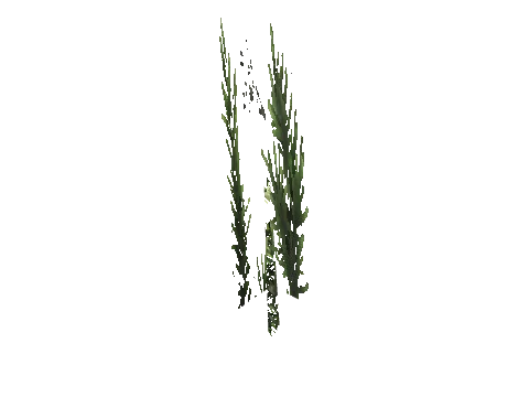 cs2_11_props_veg216_09_lod, a GTA V map model