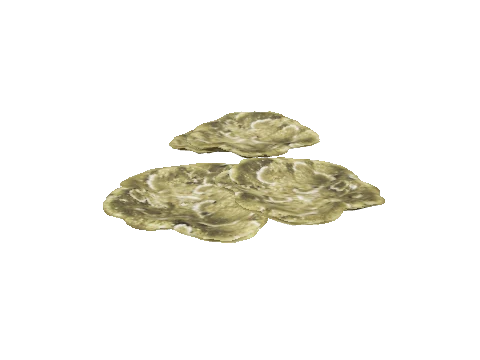cs2_30_sea_coral_fan_flat_1, a GTA V map model