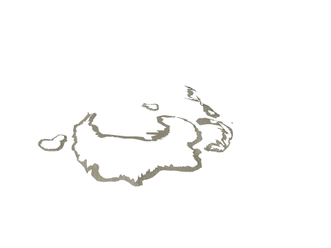 cs2_30_sea_uw_dec_16, a GTA V map model