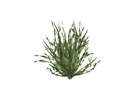 cs2_30_seaweed_long_l, a GTA V map model