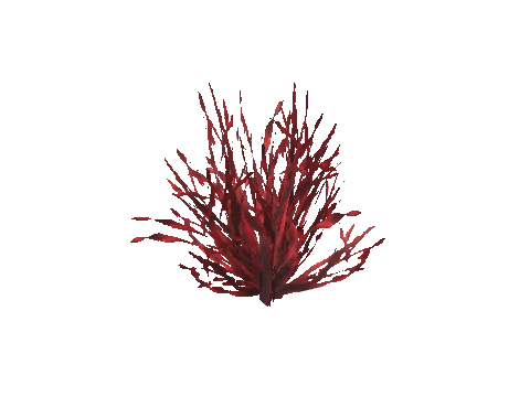 cs2_30_seaweed_long_m, a GTA V map model