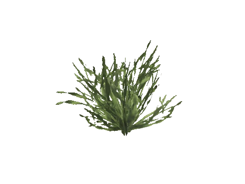 cs2_30_seaweed_long_m001, a GTA V map model
