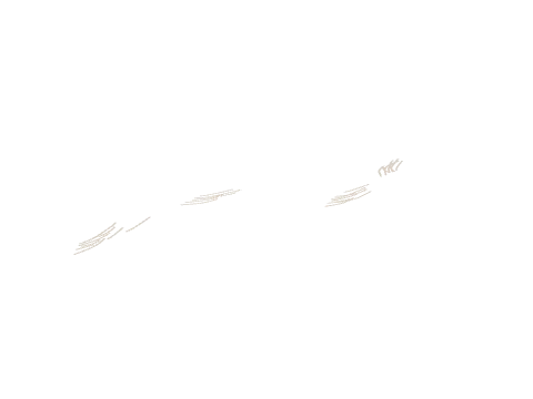 cs2_roads_fw_10_dcl02, a GTA V map model
