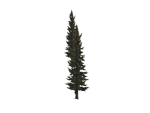 cs3_03_props_veg21_10_lod, a GTA V map model