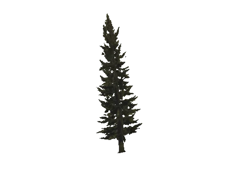 cs3_03_props_veg25_22_lod, a GTA V map model
