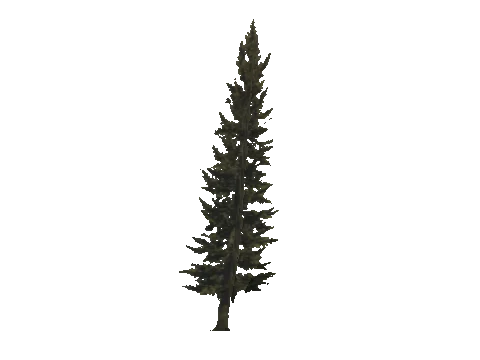 cs3_03_props_veg25_23_lod, a GTA V map model