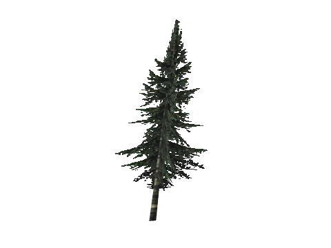 cs3_03_props_veg25_27_lod, a GTA V map model