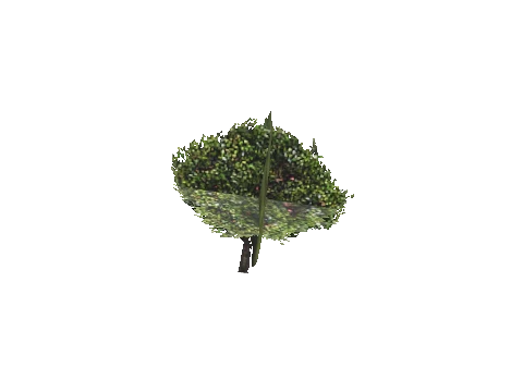 cs3_03_props_veg27_34_lod, a GTA V map model