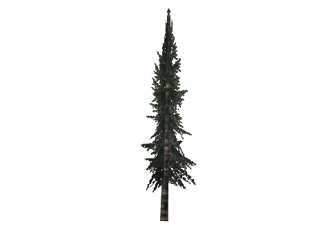 cs3_03_props_veg28_19_lod, a GTA V map model