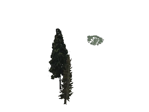 cs3_03_props_veg28_24_lod, a GTA V map model