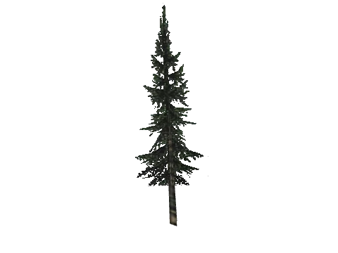 cs3_03_props_veg28_35_lod, a GTA V map model