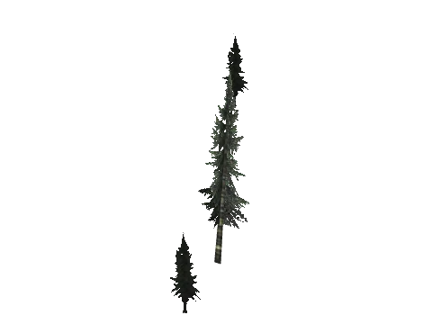 cs3_03_props_veg29_28_lod, a GTA V map model
