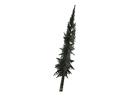 cs3_03_props_veg29_29_lod, a GTA V map model