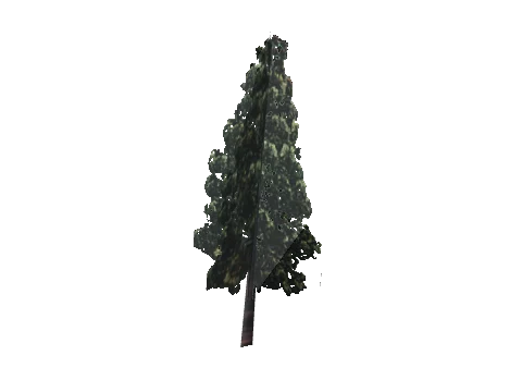 cs3_03_props_veg33_03_lod, a GTA V map model