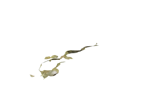 cs3_06_sea_uw_008_lod, a GTA V map model