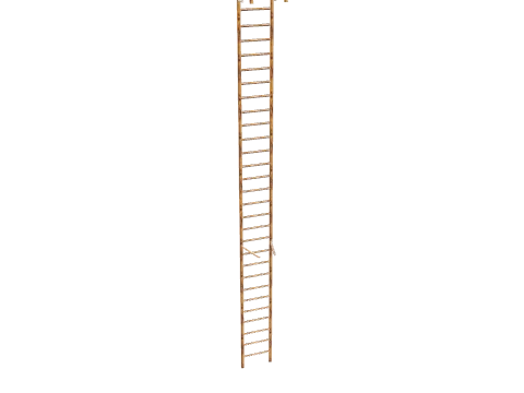 cs3_07_ladders_01b, a GTA V map model