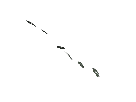 cs3_08b_props_veg24_27_lod, a GTA V map model