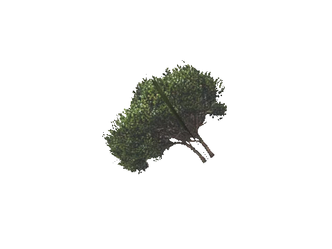 cs3_08e_props_veg21_36_lod, a GTA V map model