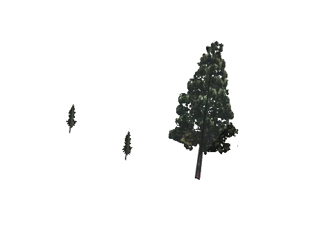 cs3_08f_props_veg16_61_lod, a GTA V map model