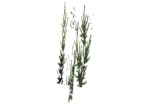 cs3_08f_props_veg20_28_lod, a GTA V map model